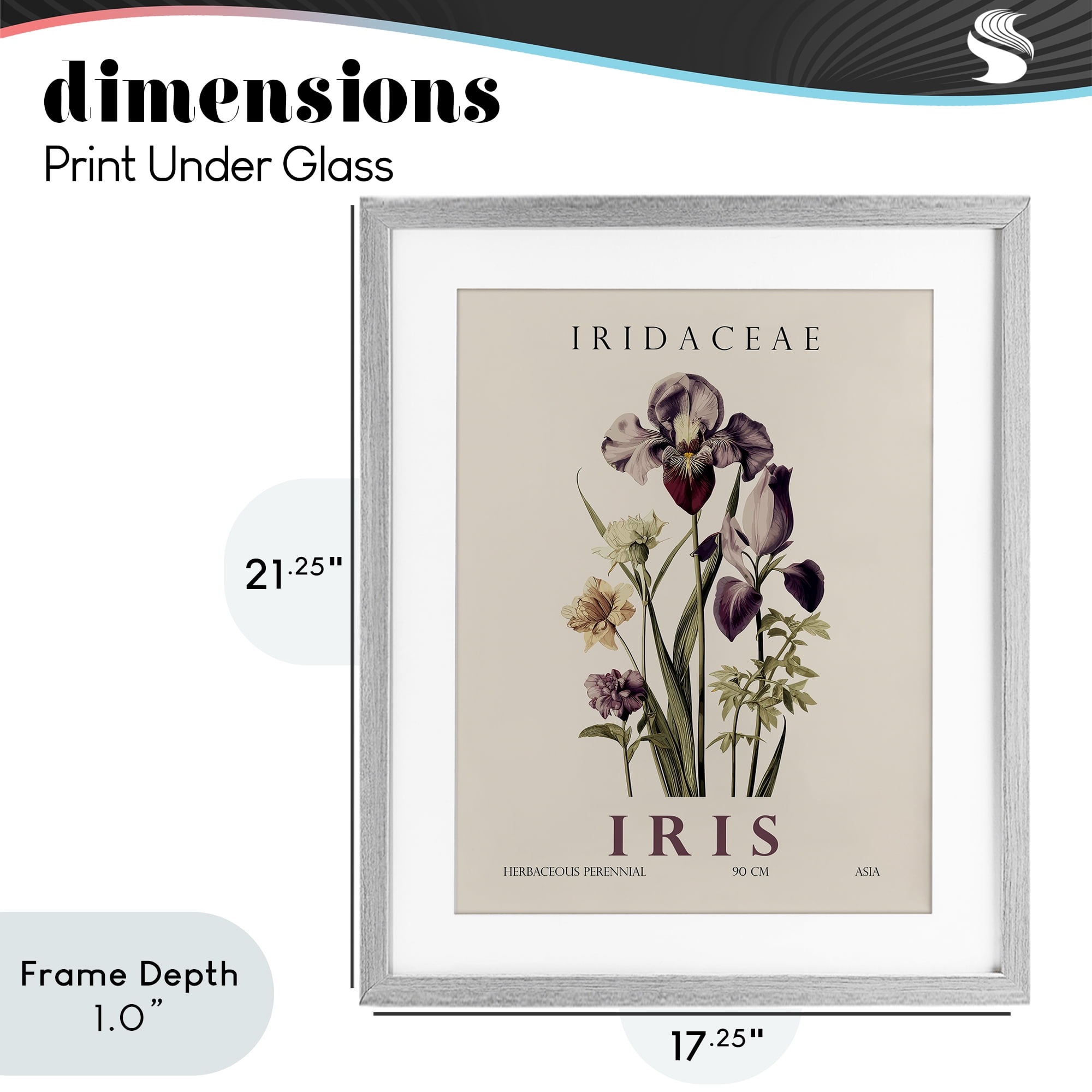 Stupell Industries Natural Iris Bundle Gray Framed Print Under Glass, design by Christopher Giampietro