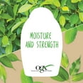 OGX CrueltyFree Extra Strength Refresh & Balance + Tea Tree Mint Dry