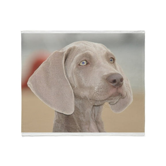 CafePress - Weimaraner Throw Blanket - Soft Fleece Throw Blanket, 50"x60" for All Ages