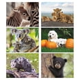 thumbnail image 4 of Current 2027 Baby Animals Wall Calendar, 12-Inch x 9-Inch Size Closed, 18-Inch Size Open, Large Bookstore-Quality, Spiral-Bound Hanging Monthly Wall Calendars for Kitchen & Office, 4 of 9
