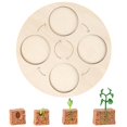thumbnail image 2 of Plant Life Cycle Of A Growth Stage Model Educational Plant Growth Cycle Toy, 2 of 5