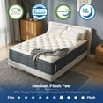 Queen Mattress,14 Inch Medium Plush Hybrid Mattress,Cooling Gel Memory