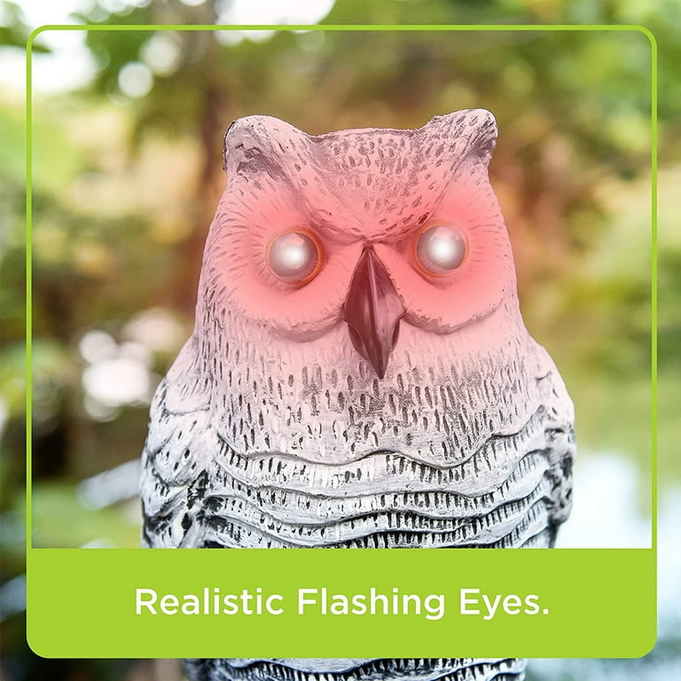 Qenwkxz Owl Decoy with Flashing Eyes & Sound, Bird Control