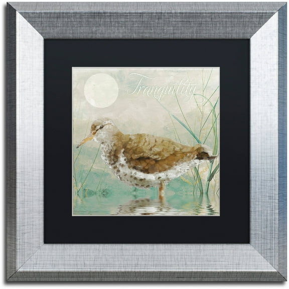 Trademark Fine Art "Sand Piper II" Canvas Art by Color Bakery Black Matte, Silver Frame