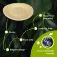 thumbnail image 5 of BambooMN 8.5" Dia Disposable Wood Round Plates, 300 Pieces, 5 of 8