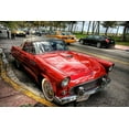 thumbnail image 1 of T-bird- CANVAS OR FINE PRINT WALL ART, 1 of 1