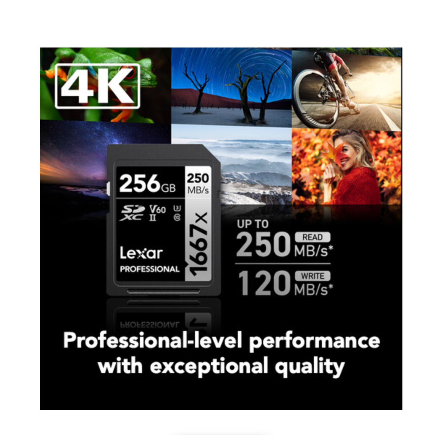Lexar Professional 1667x UHS-II SDXC Memory Card - 256GB (2-Pack)