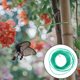 thumbnail image 4 of unbranded Verde Para Plantas Jardín Uso Diario Para Soporte En Estacas Y Mallas, 4 of 8