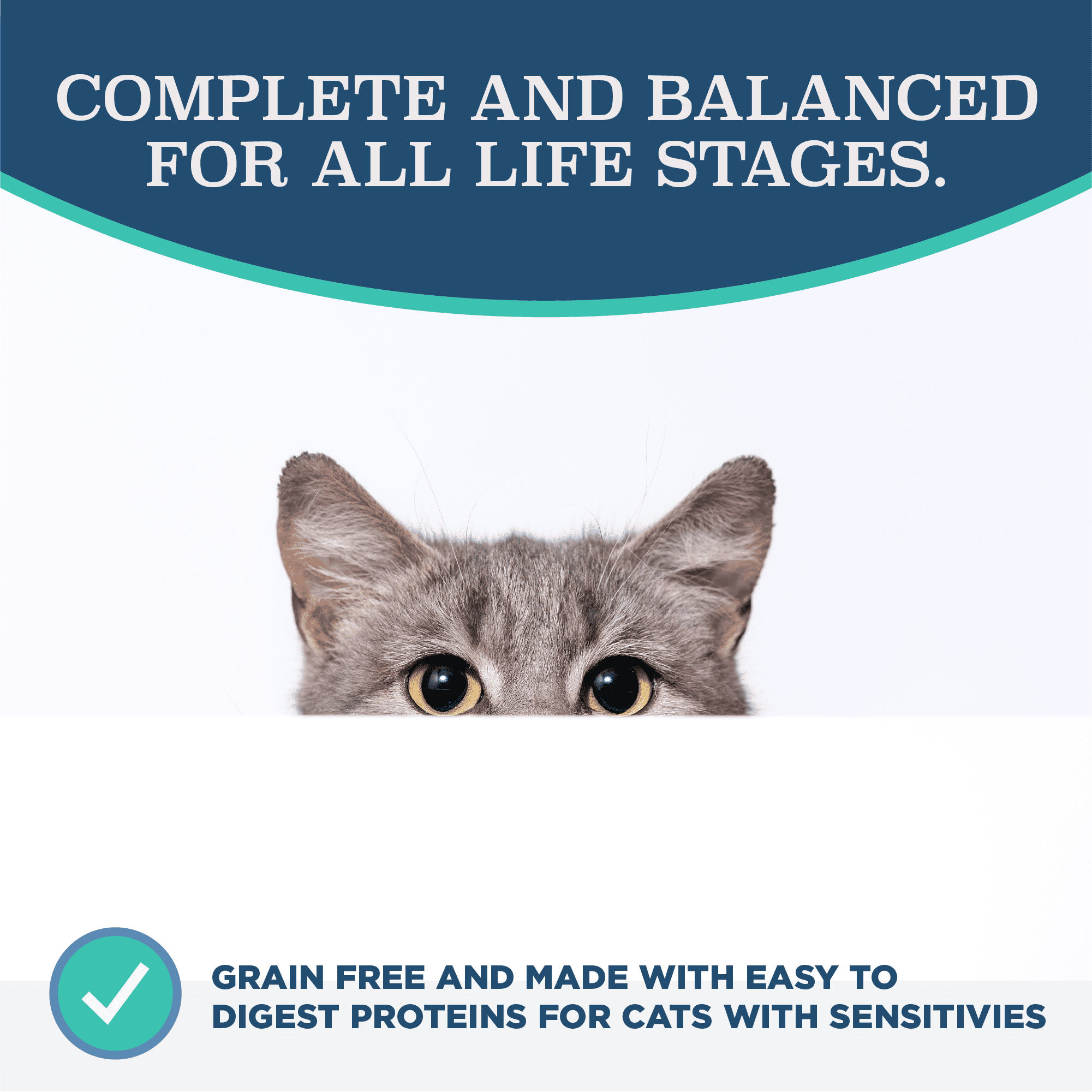 Blackwood Grain Free Cat Food Duck Meal, Salmon Meal & Field Pea 13.2 lb.