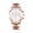 Pink -BW62, variant on Resicozy Mens Watches Stainless Watch Round Dial Quartz Chronograph Fashion Business Wristwatch with Date 2026 Pink