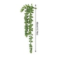 thumbnail image 3 of pdqouc Succulents Hanging String of Pearls for Wall Home Garden for Wall, Home, Back drop, Garden, Indoor and Outdoor Decoration, 3 of 3