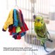 thumbnail image 1 of Juguete colgante para pájaros cuerda de algodón mordedor seguro juguete para masticar fácil de instalar juguete para pájaros para loros y pájaros ANGGREK Otros, 1 of 8