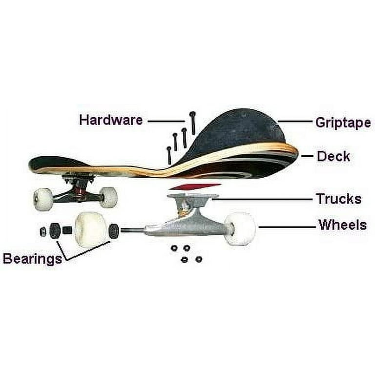 Primitive Hamilton Roller Deck 8.0 Black - Assembled AS Complete