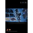 thumbnail image 2 of Figure Hot Toys MMS354 - Aliens - Alien Warrior, 2 of 5