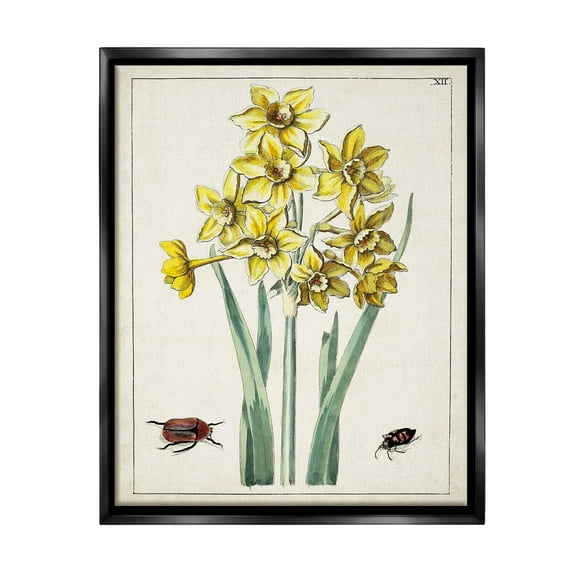 Stupell Industries Beetles with Daffodils Botanical & Floral Painting Black Floater Framed Canvas Art Print Wall Art, 17 x 21