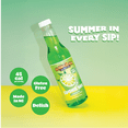 thumbnail image 4 of Hawaiian Shaved Ice Slushie Syrups Mix, 3-Pack, 12 fl oz, 4 of 8