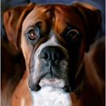 thumbnail image 2 of CafePress - 3 Adoringboxer_User Throw Blanket - Soft Fleece Throw Blanket, 50"x60" for All Ages, 2 of 2
