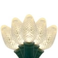 thumbnail image 3 of Wintergreen Lighting C7 LED Warm White Christmas Lights, Set of 25, 8" Spacing – Green Wire, 3 of 7