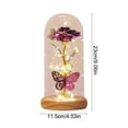 thumbnail image 3 of Hometravel Glass Dome Night Light, Preserved Rose and Butterfly Display with LED Base, Crystal Flower Decor with Glowing Effect for s, 3 of 6