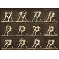 thumbnail image 2 of Muybridge, Eadweard 32x24 Gold Ornate Wood Framed with Double Matting Museum Art Print Titled - Motion Study: Men Fighting, 2 of 4