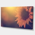 thumbnail image 2 of Photo Vintage de Tournesol Gros Plan - Grande Impression sur Toile Florale, 2 of 4