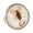 White, variant on Yammee Fashionable Scorpion Rings Animal Charm Opening Rings Trendy Luminous Jewelry Pieces Eye-catching Unisex Finger Circle