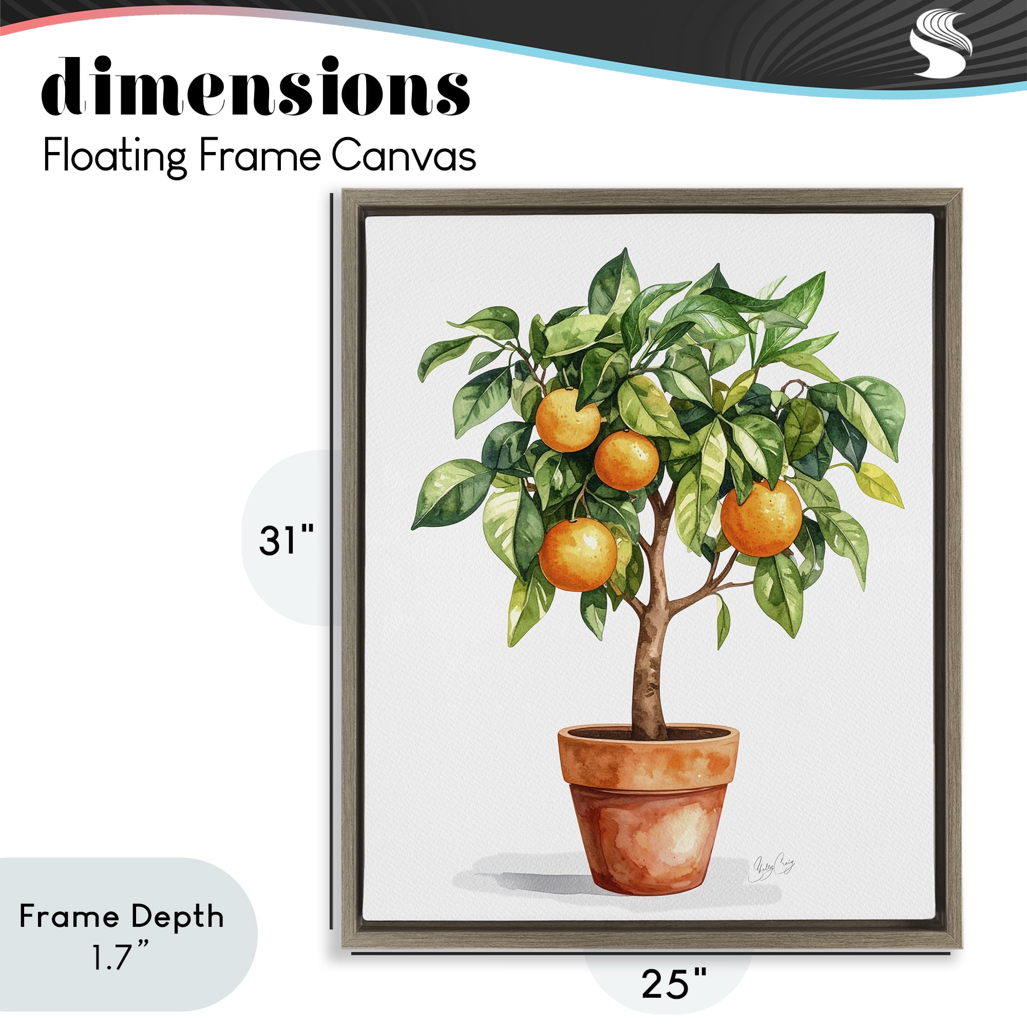 Stupell Industries Potted Orange Tree Brown Framed Floater Canvas Wall Art, design by Shelly Craig