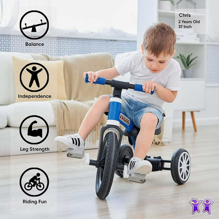 Big wheel bike for 2 year old hot sale