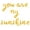 Gold, variant on Cursive Script Letter Balloons - YOU ARE MY SUNSHINE 16" Inch Alphabet Letters Foil Mylar Balloon Birthday Party Banner (Gold)