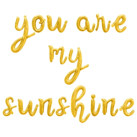 Cursive Script Letter Balloons - YOU ARE MY SUNSHINE 16" Inch Alphabet Letters Foil Mylar Balloon Birthday Party Banner (Gold)