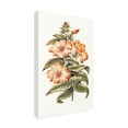 thumbnail image 2 of Unknown 'Flowering Hibiscus I' Canvas Art, 2 of 3