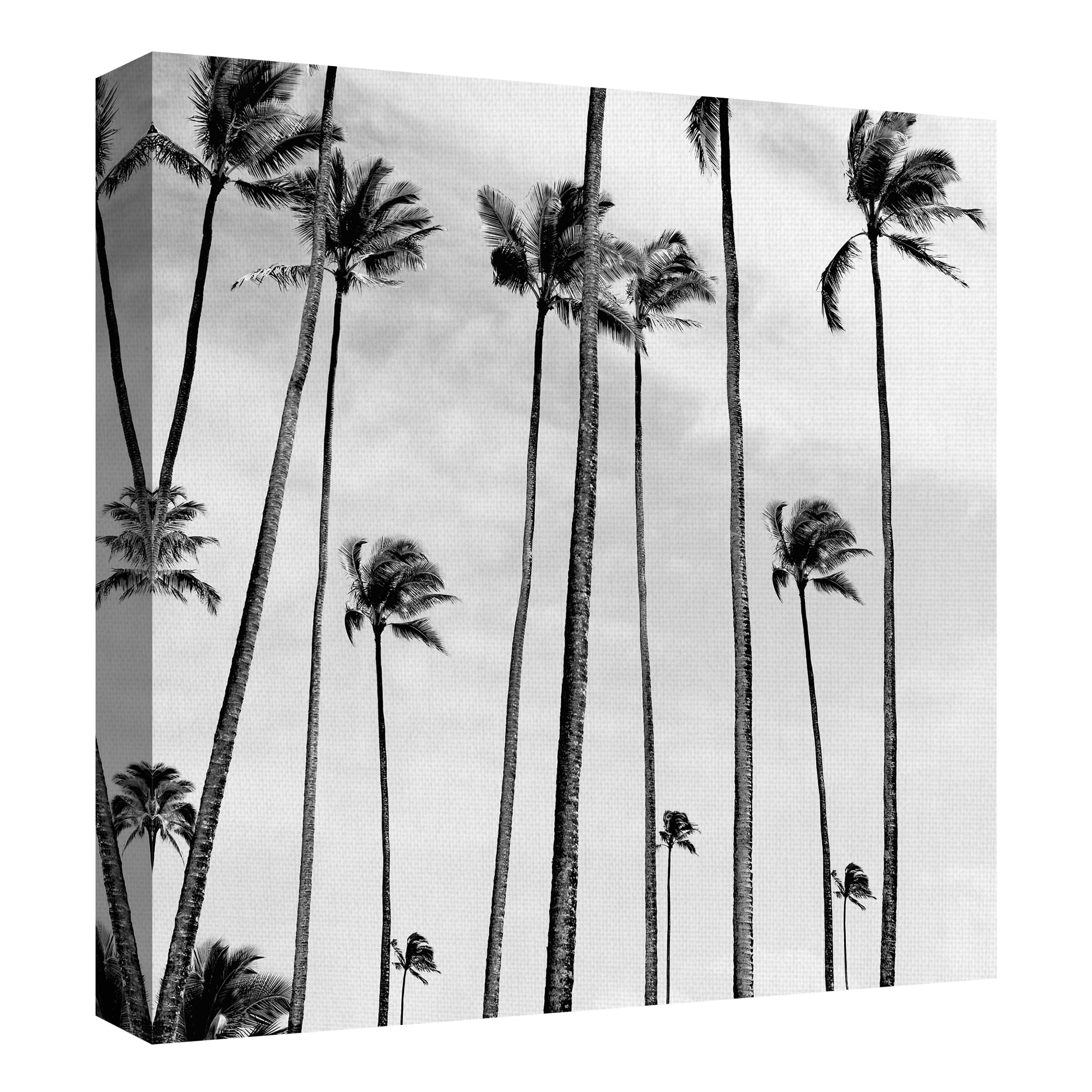 Coconut Palms II B&W by joSon Canvas Art Print