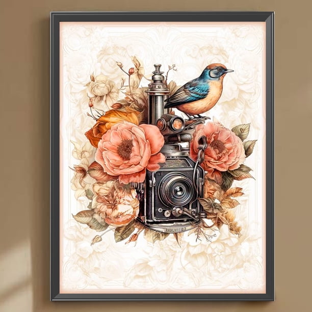Cuadros Decorativos 5D bricolaje taladro redondo completo diamante pintura pájaro y cámara decoración del hogar Wdftyju de costura negro 4 estilos