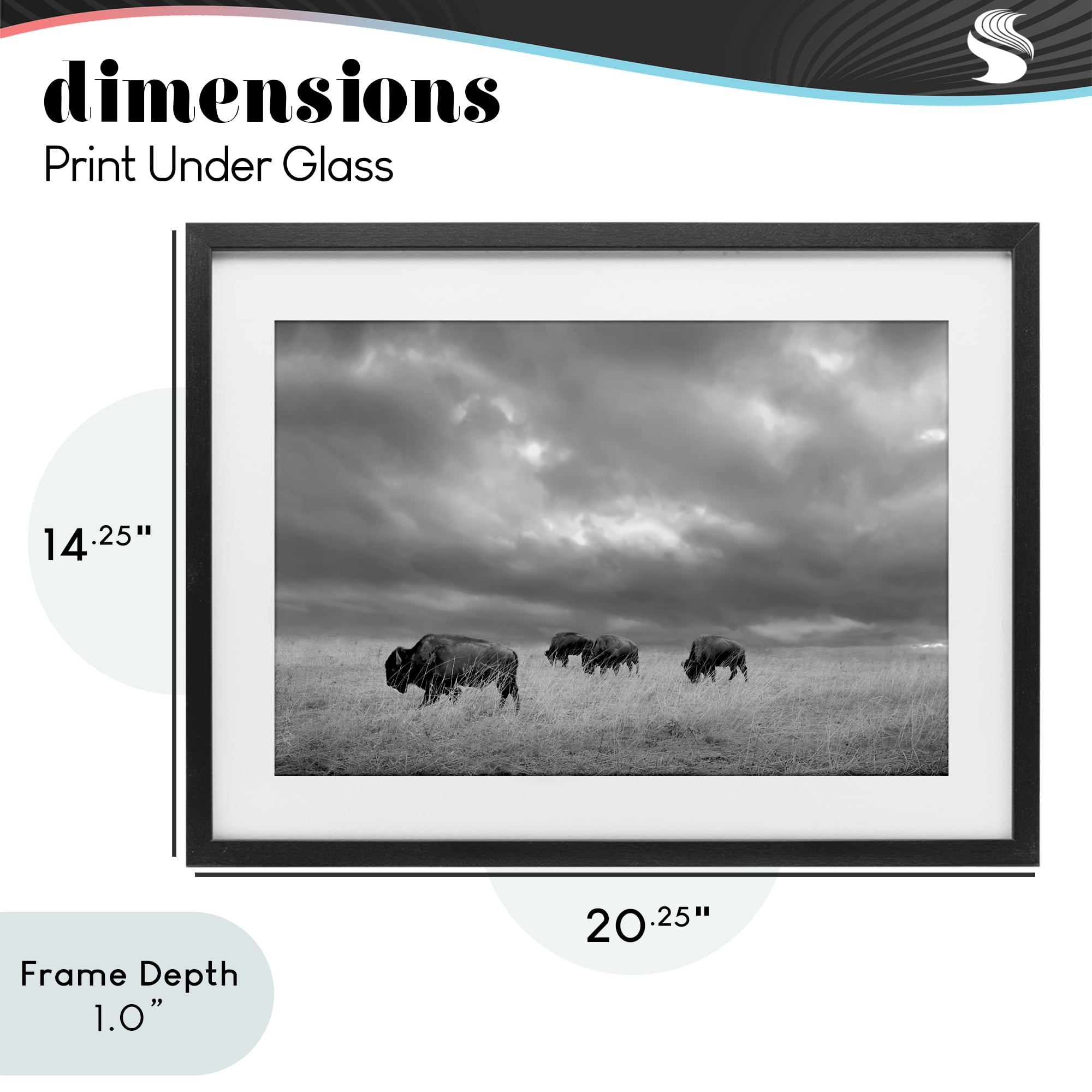 Stupell Industries Bisons Under an Autumn Sky Black Framed Print Under Glass, design by Steve Toole