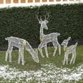 thumbnail image 4 of WINDLAND Light Up Reindeers Outdoor Christmas Decorations Battery Powered for Garden Yard, 4 of 16