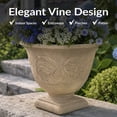 thumbnail image 3 of Sunnydaze Darcy 16" x 16" x 13" Round Beige Polyresin Outdoor Planter Pot, 3 of 16