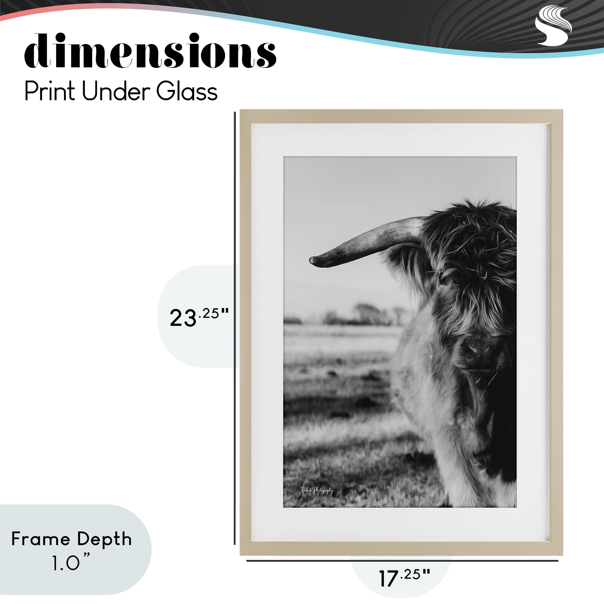 Stupell Industries Baby Cattle in Monochrome Birch Framed Print Under Glass, design by Dakota Diener