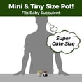 thumbnail image 2 of Mini Ceramic Succulent Pots with Drainage - Set of 6, Tiny Pots for Plants, Home and Office Decor, Plant Lover Gifts for Women, 2 of 9