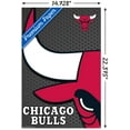 thumbnail image 2 of NBA Chicago Bulls - Logo 14 Wall Poster, 14.725" x 22.375", 2 of 3