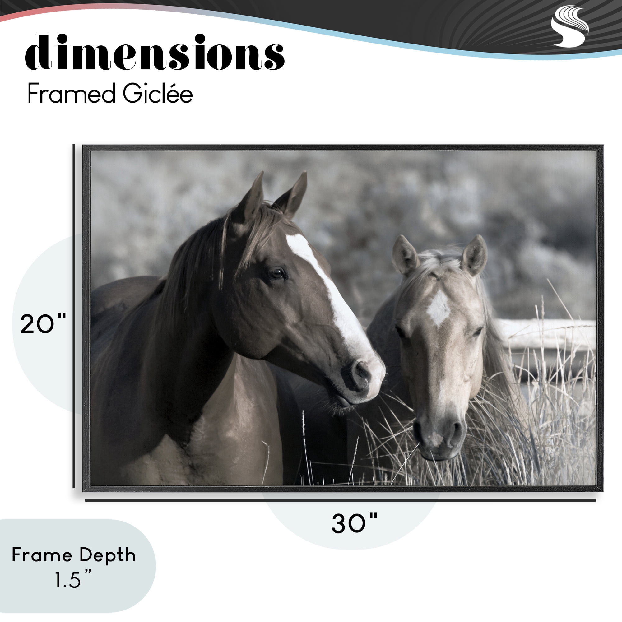 Stupell Industries Content Horses In Pasture Black Framed Giclee Art, design by Danita Delimont
