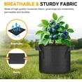 thumbnail image 5 of 24-Pack 5 Gallon Nonwoven Grow Bags, Aeration Fabric Pots with Handles, Suitable for Garden Fruits, Vegetables and Flowers, Black, 5 of 11