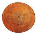 thumbnail image 2 of Veeogra Big Sale,Carpet,Area Rug,Wood Grain Play Round Carpet Home Area Rug Living Room Floor Yoga Mat,Floor Mats, 2 of 2