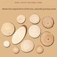 thumbnail image 3 of YIBONIKA 20 PCS Natural Wood Slices 1.6-2.0 Inch Unfinished Wooden Circles with Bark for DIY Crafts, Rustic Wedding Centerpieces, Coasters, 3 of 3