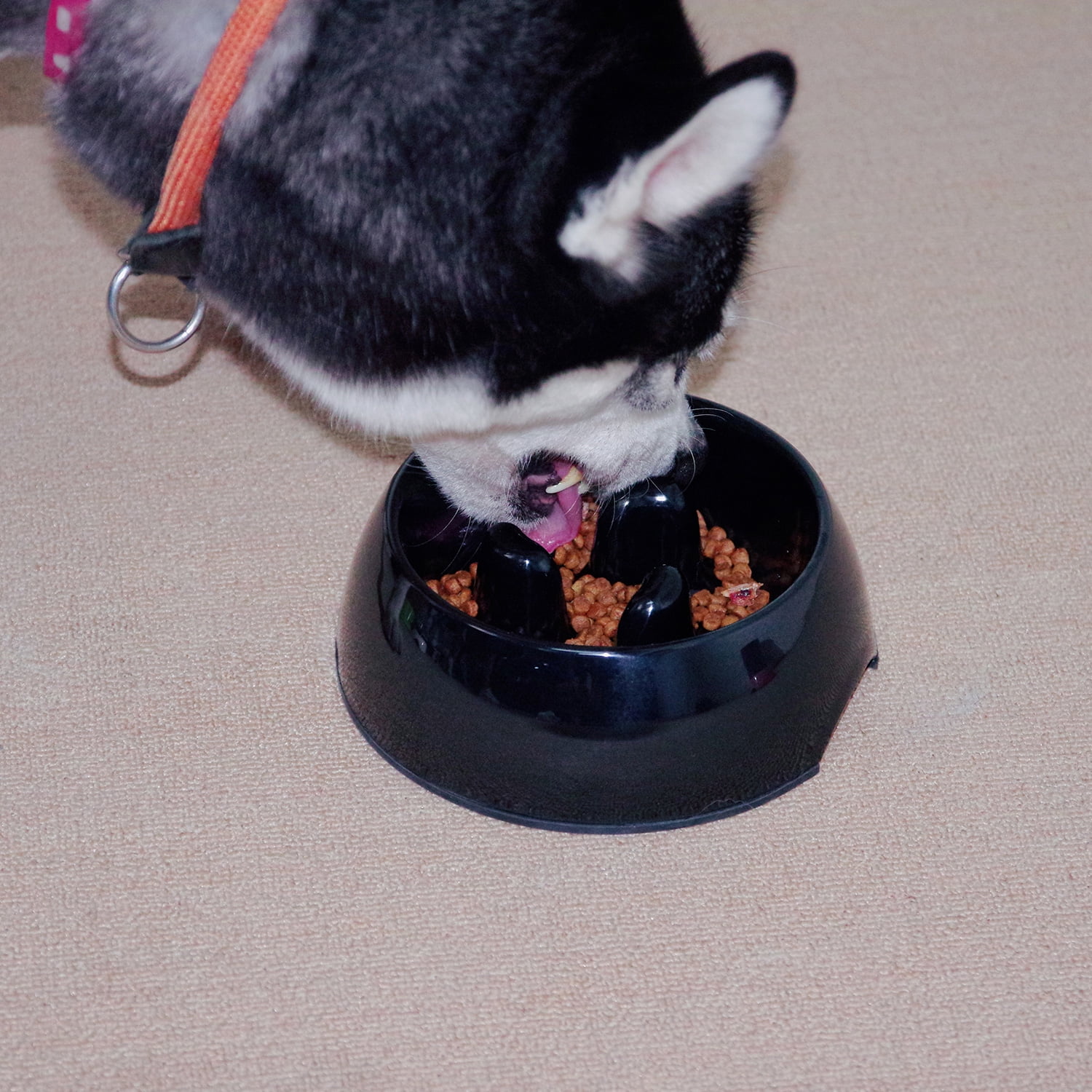 Pet Supplies Super Design Anti Gulping Dog Bowl Slow Feeder
