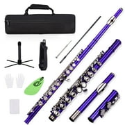 ammoon Closed Hole C Flute 16 Keys Cupronickel Nickel-plated Wind Instrument with Carry Case Flute Stand Gloves Cleaning Cloth Mini Screwdriver Cleaning Rod