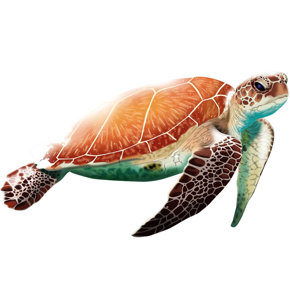 VWAQ Sea Turtle Vinyl Wall Sticker Decal for Kids Rooms | Ocean Theme Decor - NA04