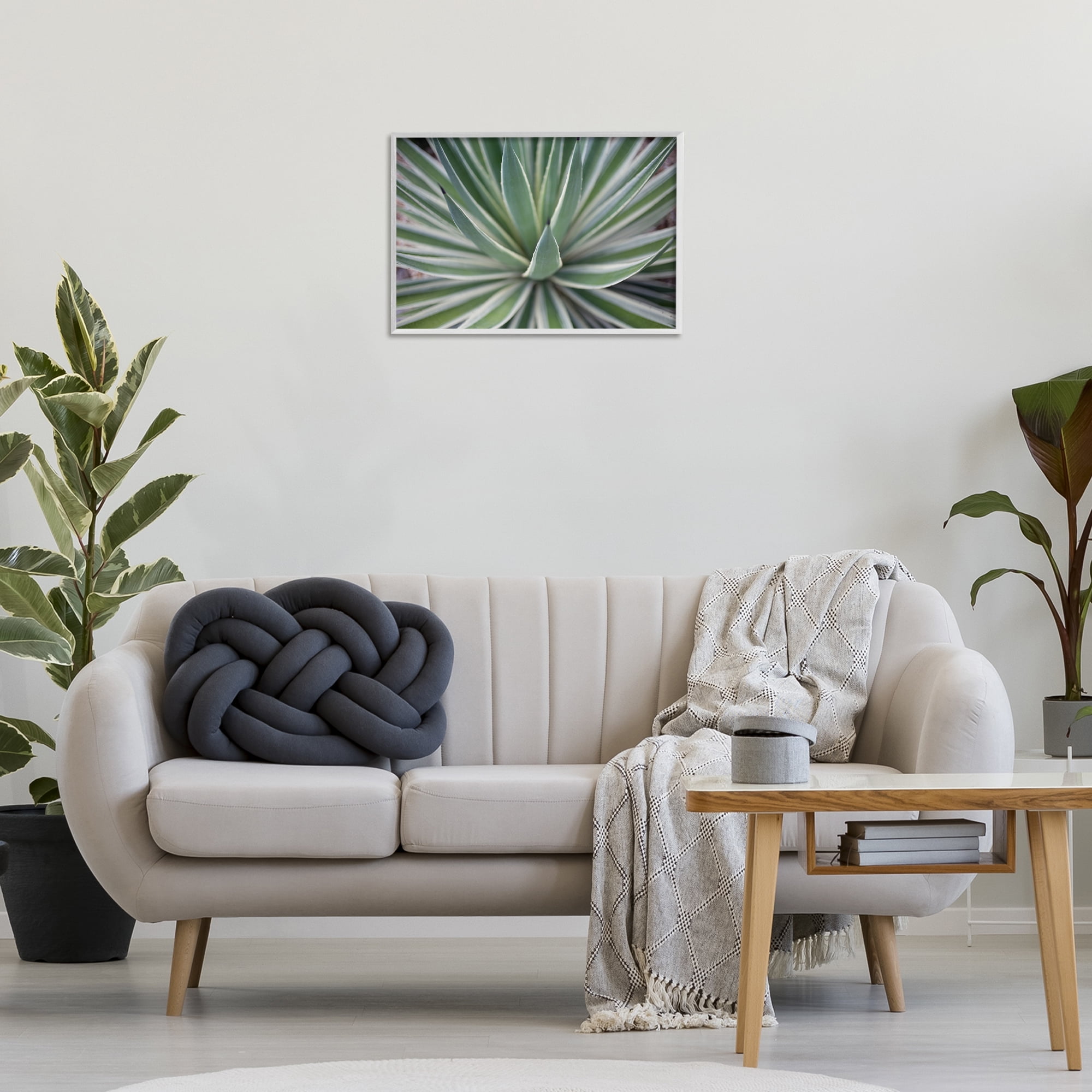 Stupell Industries Striped Plant Leaves Botanical & Floral Photography White Framed Art Print Wall Art, 24 x 16