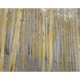 thumbnail image 2 of Allen, Kimberly 18x15 Black Ornate Wood Framed with Double Matting Museum Art Print Titled - Aspen Forest in Gold, 2 of 4
