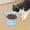 Sky Blue, variant on Elevated Silicone Tilt Design Pet Feeder Bowl for Cats and Dogs—Slow Feeder Cat Dish with Fish Shape Indoor Use High-Edge Kashioned for Gentle Eating