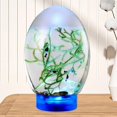 thumbnail image 3 of Mini Small Desktop Aquarium Glass Fish Tank Eco Aquarium Amibious, 3 of 8